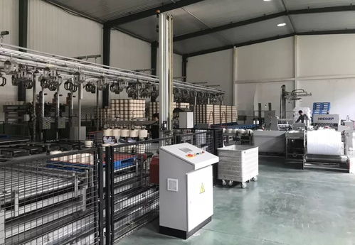 临清三和纺织 以智能化步调实现省工增效，环球筒纱智能包装系统引领无人化未来